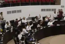 legisladores de morena yucatán respaldan reforzar protección a víctimas y avances del tren maya