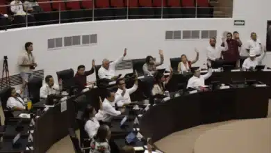 legisladores de morena yucatán respaldan reforzar protección a víctimas y avances del tren maya