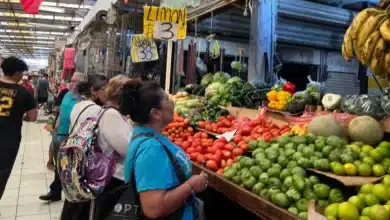 lucas de gálvez y san benito anticipan repunte en ventas por día de muertos