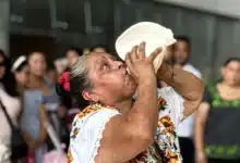 maíz, tradición y cultura se reúnen en el gran museo del mundo maya