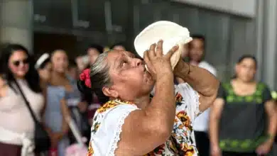 maíz, tradición y cultura se reúnen en el gran museo del mundo maya