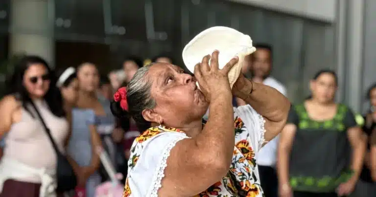maíz, tradición y cultura se reúnen en el gran museo del mundo maya