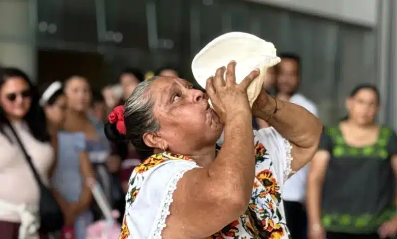 maíz, tradición y cultura se reúnen en el gran museo del mundo maya