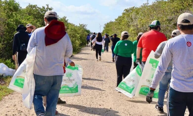 más de 5 toneladas de residuos serán retiradas de las playas de yucatán