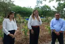 mérida estrena su primer jardín de lluvia en ciudad caucel