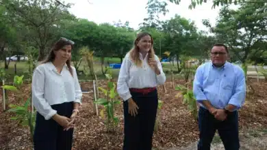 mérida estrena su primer jardín de lluvia en ciudad caucel