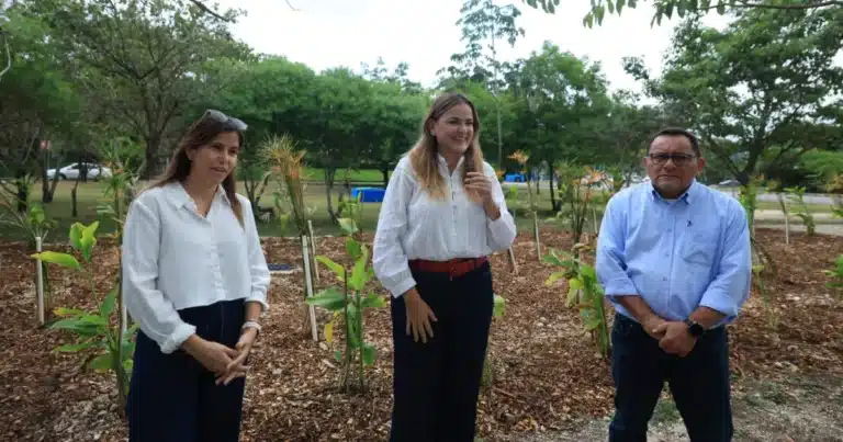 mérida estrena su primer jardín de lluvia en ciudad caucel