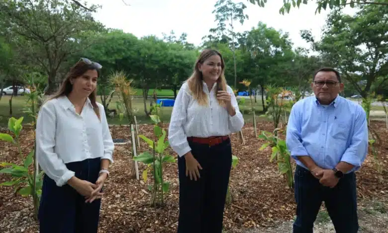 mérida estrena su primer jardín de lluvia en ciudad caucel