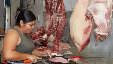 mujeres concentran casi 68% de los emprendimientos apoyados en mérida