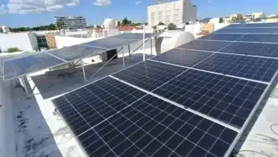 paneles solares ganan terreno entre pequeños negocios de mérida