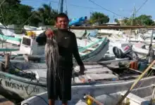 primer mes de captura de pulpo cierra con 4,200 toneladas