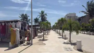Progreso espera la llegada de 6 mil extranjeros para la temporada invernal