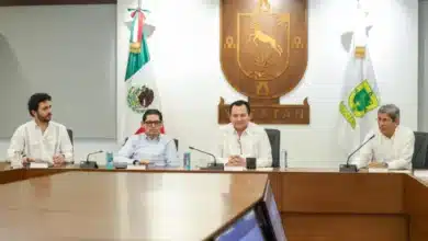 puerto de altura de progreso concluye segunda fase y prepara tercera etapa