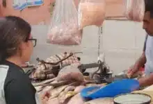 rehabilitación del área de mariscos registra 20 de avance