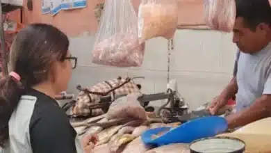 rehabilitación del área de mariscos registra 20 de avance