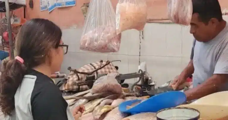 rehabilitación del área de mariscos registra 20 de avance