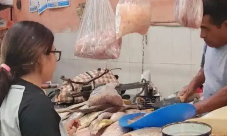 rehabilitación del área de mariscos registra 20 de avance