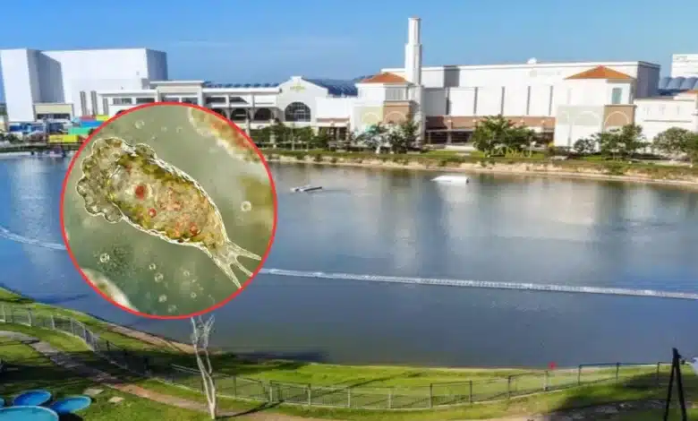 ssy espera dictamen sobre causas de proliferación de ameba en lago de mérida