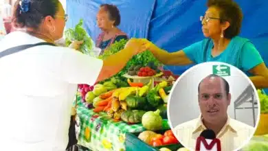 tizimín renueva su mercado municipal tras más de 50 años