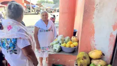 yucatán amplía mercados para sus productos y fortalece rutas de exportación
