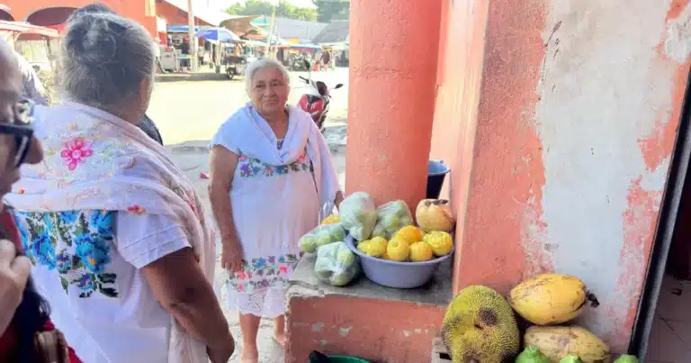 yucatán amplía mercados para sus productos y fortalece rutas de exportación