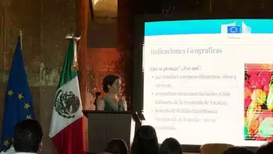 yucatán fortalece su relación comercial con la unión europea y abre nuevas oportunidades