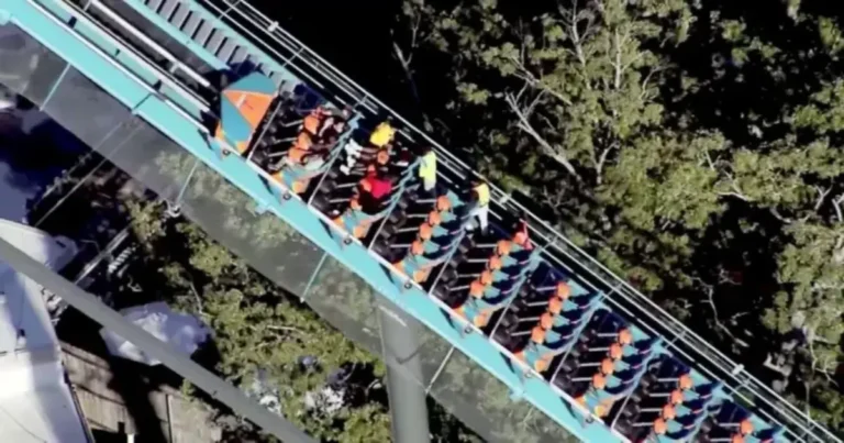 accidente en six flags georgia deja un muerto y varios heridos