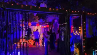 Autorizan en Mérida 20 cierres de calles por festejos de Halloween