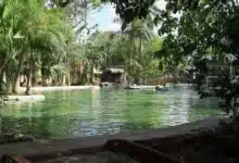 ayuntamiento activa protocolos por amebas en el zoo centenario y parque ecológico del poniente