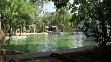 ayuntamiento activa protocolos por amebas en el zoo centenario y parque ecológico del poniente