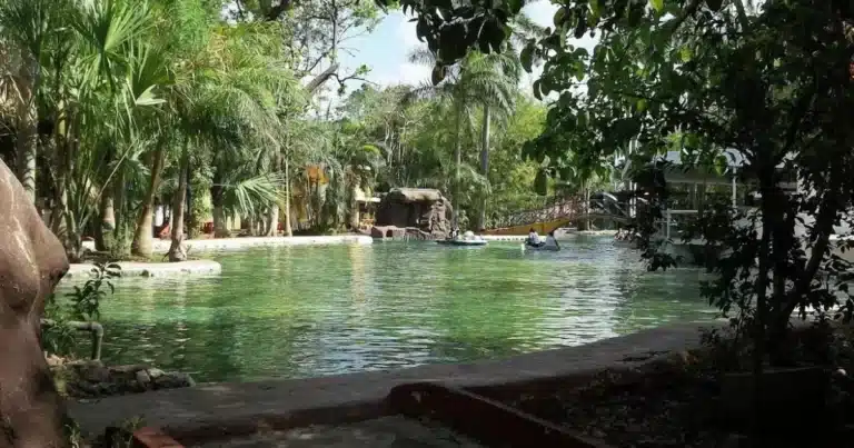 ayuntamiento activa protocolos por amebas en el zoo centenario y parque ecológico del poniente