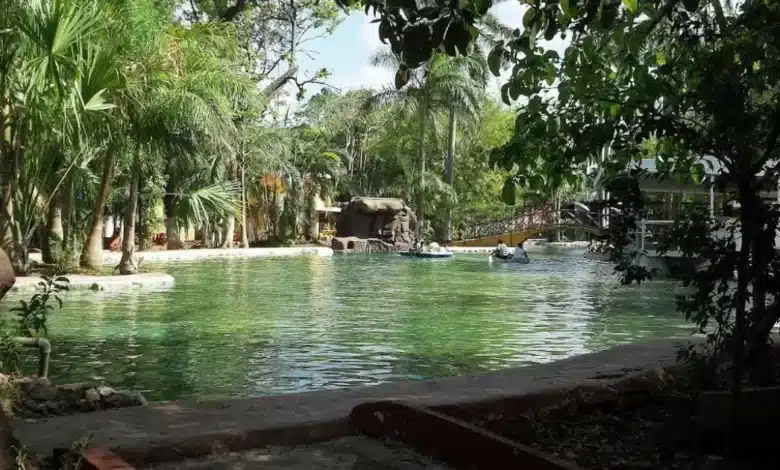 ayuntamiento activa protocolos por amebas en el zoo centenario y parque ecológico del poniente
