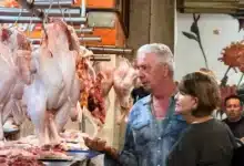 Baja el precio del pollo en Mérida y cae 10% la venta de carne de cerdo