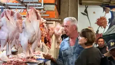 Baja el precio del pollo en Mérida y cae 10% la venta de carne de cerdo