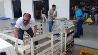 banco de alimentos busca recuperar más frutas y verduras en yucatán