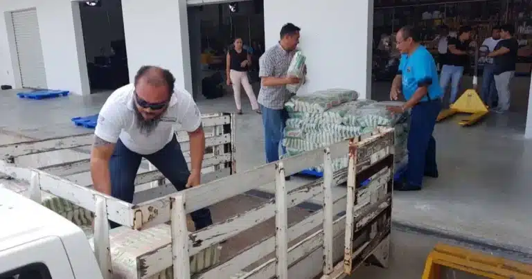 banco de alimentos busca recuperar más frutas y verduras en yucatán