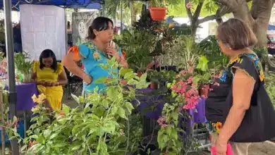 bazar de plantas llegará a la feria del mucbipollo en mérida
