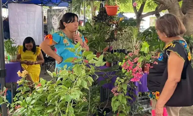 bazar de plantas llegará a la feria del mucbipollo en mérida