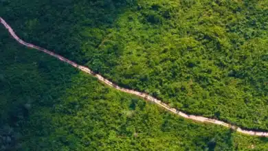 caminos renacimiento rehabilitará 52 kilómetros de caminos rurales en yucatán