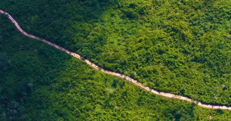 caminos renacimiento rehabilitará 52 kilómetros de caminos rurales en yucatán