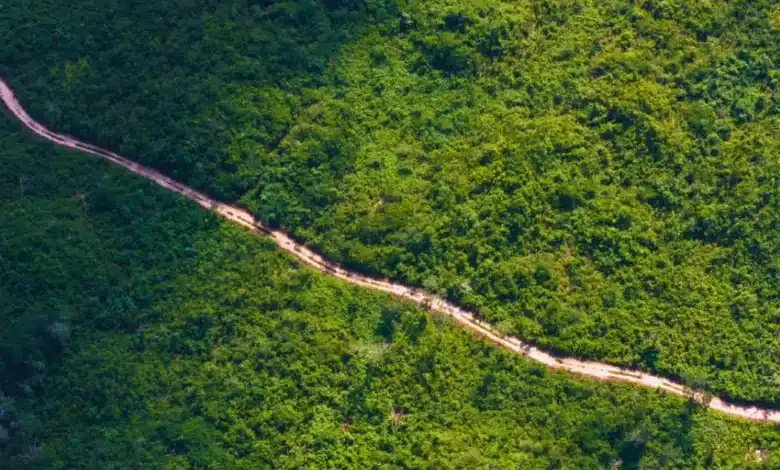 caminos renacimiento rehabilitará 52 kilómetros de caminos rurales en yucatán