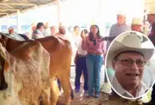 congreso mundial brahman impulsaría ventas de ganado yucateco