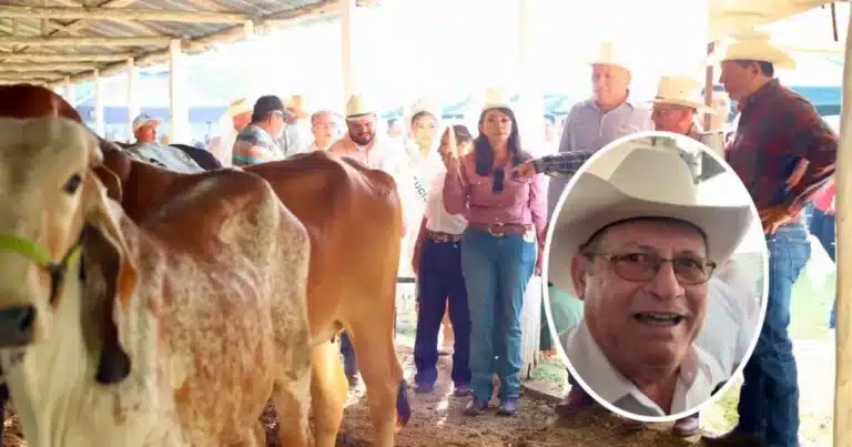 congreso mundial brahman impulsaría ventas de ganado yucateco