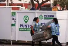 contenedores de mérida están disponibles hasta el 15 de octubre en estas colonias
