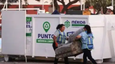 contenedores de mérida están disponibles hasta el 15 de octubre en estas colonias