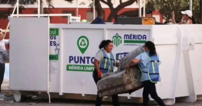 contenedores de mérida están disponibles hasta el 15 de octubre en estas colonias
