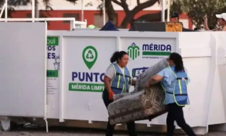 contenedores de mérida están disponibles hasta el 15 de octubre en estas colonias