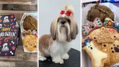 crece la oferta de cuidados y servicios para mascotas