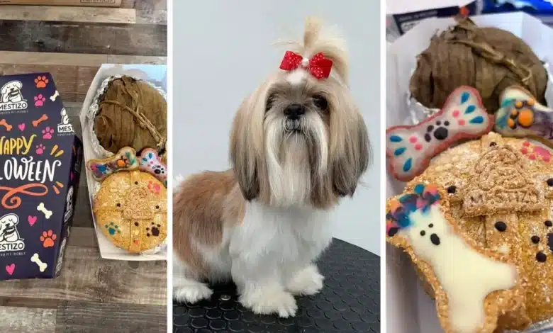 crece la oferta de cuidados y servicios para mascotas