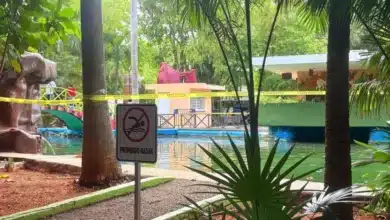 el centenario refuerza medidas preventivas en el lago por presencia de amebas